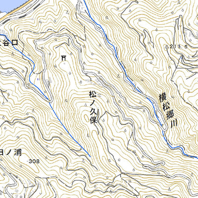 503234 串 （くし Kushi）, 地形図