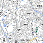 503270 柳井 （やない Yanai）, 地形図