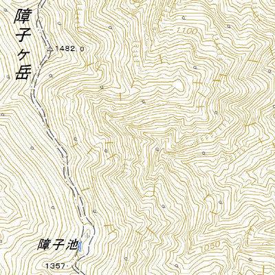 573947 大井沢 （おおいさわ Oisawa）, 地形図