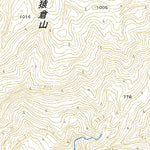 573956 大鳥 （おおとり Otori）, 地形図