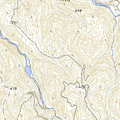 513316 福良見 （ふくらみ Fukurami）, 地形図