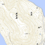 513335 讃岐粟島 （さぬきあわしま Sanukiawashima）, 地形図