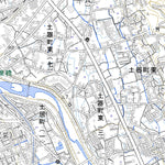 513336 丸亀 （まるがめ Marugame）, 地形図