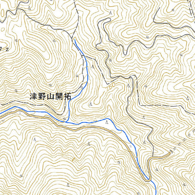 503310 王在家 （おざいえ Ozaie）, 地形図
