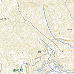 503310 王在家 （おざいえ Ozaie）, 地形図