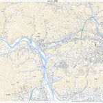 503323 伊野 （いの Ino）, 地形図