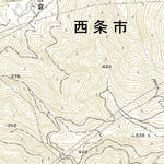 503361 西条 （さいじょう Saijo）, 地形図
