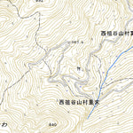503366 大歩危 （おおぼけ Oboke）, 地形図