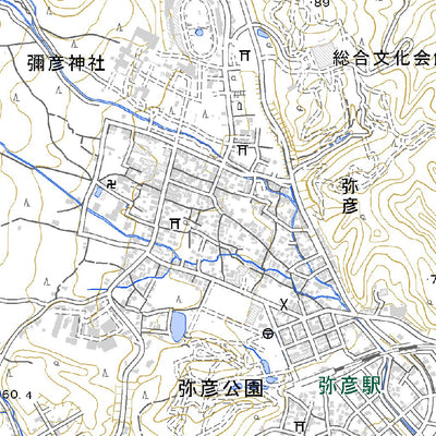 563846 弥彦 （やひこ Yahiko）, 地形図