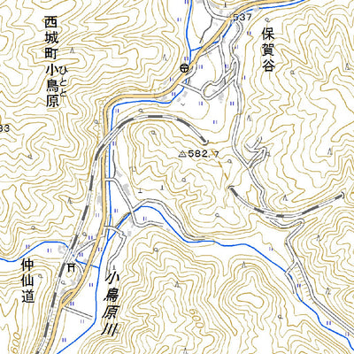 523341 道後山 （どうごやま Dogoyama）, 地形図