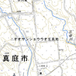 523375 蒜山 （ひるぜん Hiruzen）, 地形図