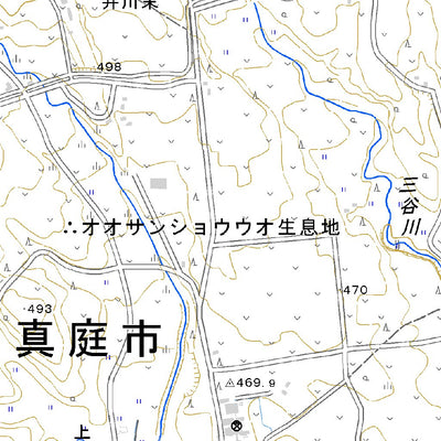 523375 蒜山 （ひるぜん Hiruzen）, 地形図