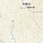 523375 蒜山 （ひるぜん Hiruzen）, 地形図