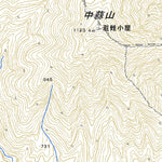 523375 蒜山 （ひるぜん Hiruzen）, 地形図
