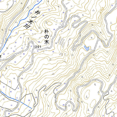553843 柳島 （やなぎしま Yanagishima）, 地形図