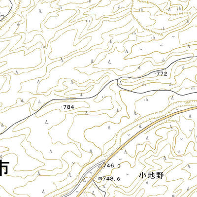 493131 坂梨 （さかなし Sakanashi）, 地形図