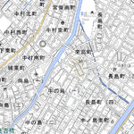 493137 佐伯 （さいき Saiki）, 地形図