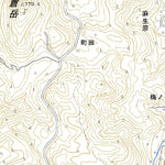493161 豊後中村 （ぶんごなかむら Bungonakamura）, 地形図