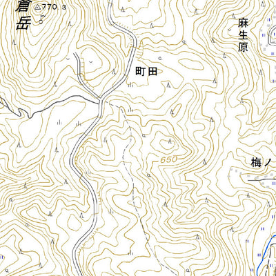 493161 豊後中村 （ぶんごなかむら Bungonakamura）, 地形図