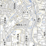 493165 鶴崎 （つるさき Tsurusaki）, 地形図