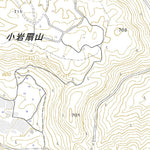 493171 豊後森 （ぶんごもり Bungomori）, 地形図