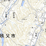543900 皆野 （みなの Minano）, 地形図