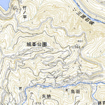 543910 鬼石 （おにし Onishi）, 地形図
