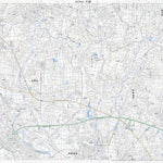 543941 大胡 （おおご Ogo）, 地形図