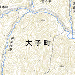 554002 常陸大沢 （ひたちおおさわ Hitachiosawa）, 地形図