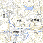 584017 岩ヶ崎 （いわがさき Iwagasaki）, 地形図