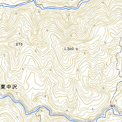584071 大琴 （おおごと Ogoto）, 地形図