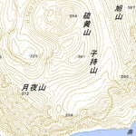 454052 鳥島 （とりしま Torishima）, 地形図