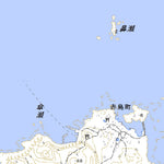 482877 崎山 （さきやま Sakiyama）, 地形図