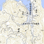 482966 野母 （のも Nomo）, 地形図