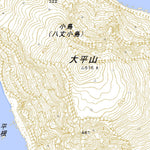 493955 八丈小島 （はちじょうこじま Hachijokojima）, 地形図