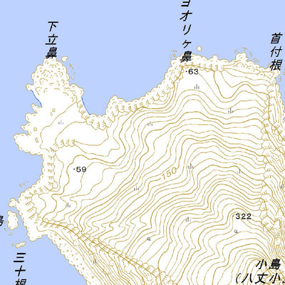 493955 八丈小島 （はちじょうこじま Hachijokojima）, 地形図