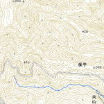 503544 合川 （こうがわ Kogawa）, 地形図