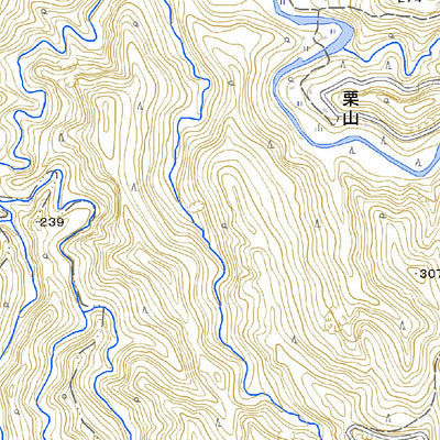 503546 紀伊大野 （きいおおの Kiiono）, 地形図
