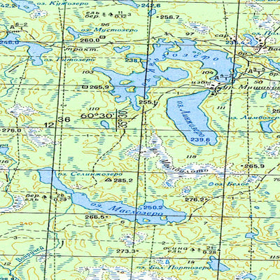 Soviet Genshtab map - p36-131/132 - Russia