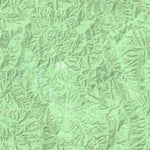 8123-2-N SKENE NORTH