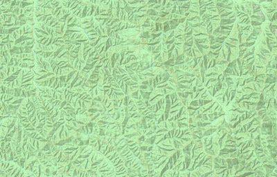 8223-1-N SELWYN NORTH