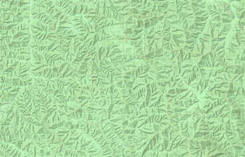 8223-1-N SELWYN NORTH