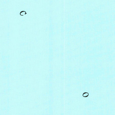 Point Ano Nuevo, CA (1955, 24000-Scale) Preview 2