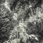 Bartlett Mountain, CA (1977, 24000-Scale) Preview 3