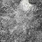 Prospect Peak, CA (1975, 24000-Scale) Preview 3