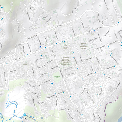Wellington Mountain Bike Trails