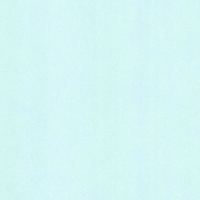 Port Orange, FL (1956, 24000-Scale) Preview 2