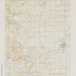 MI-MOUNT PLEASANT: Authoritative US Topos Historic 1919