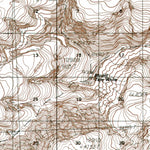 AK-BERING GLACIER C8: Authoritative US Topos 1985