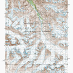 AK-BERING GLACIER D3: Authoritative US Topos 1984